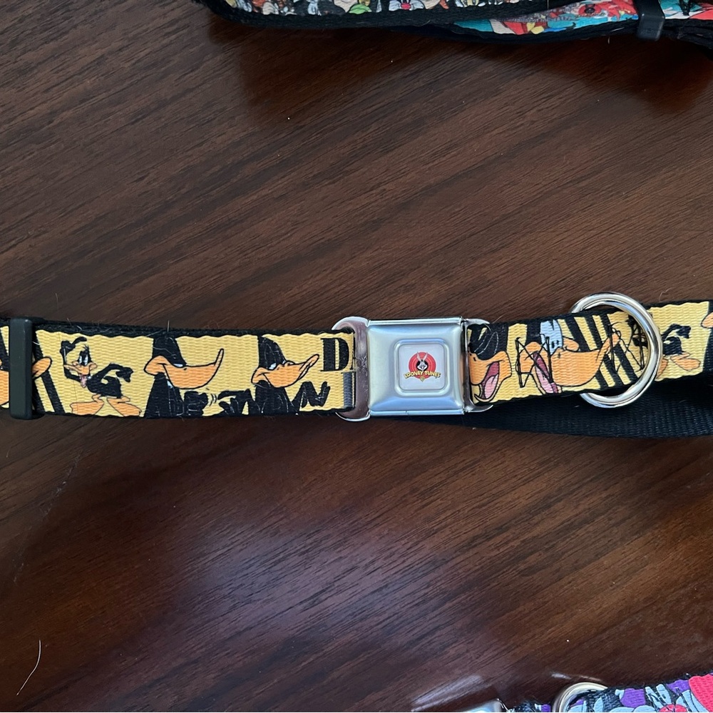 BUCKLE DOWN DAFFY DUCK COLLAR 1 INCH 15-26 INCH - Picture 2 of 3